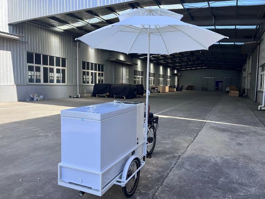Ice Cream Cabinet Three Wheel Bike Restaurant Retail 200L Electric Ice Cream Bicycle Freezer