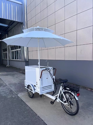 Ice Cream Cabinet Three Wheel Bike Restaurant Retail 200L Electric Ice Cream Bicycle Freezer