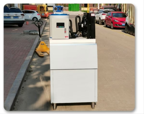 Commercial Factory Supply Flake Ice Making Machine Snow and Dry Ice Shape Efficient Flake Ice Maker