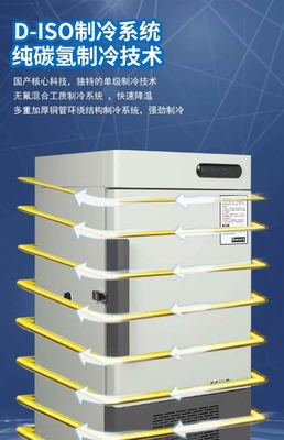 Ultra-Low Temperature Freezer -45 Degree Deep Freezer Container Frozen Food Medical Laboratory Refrigerator
