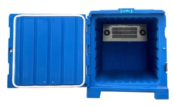 700L Multi-Functional Cooler Box Green Grey Color New Automatic Cooling with Emerson Compressors for Home Use