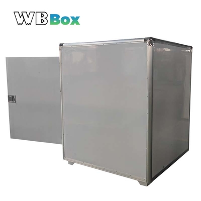 Hight Quality Freeze Box / Insulation case Can air Transportation From China